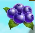 Символ игрового автомата Fruit Burst Черника