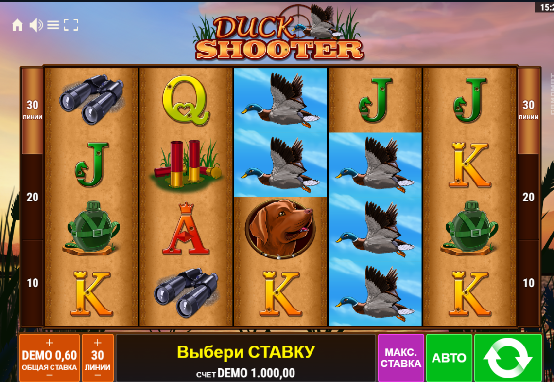 Изображение игрового автомата Duck Shooter