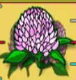 Символ игрового автомата Sweet Life Клевер