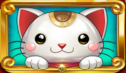 Символ игрового автомата Big Win Cat Кот Джокер