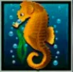 Символ игрового автомата Dolphin’s Pearl Морской конек