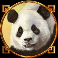 Символ игрового автомата Dragon Of The Princess Панда