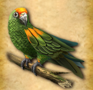 Символ игрового автомата King Of The Jungle Попугай